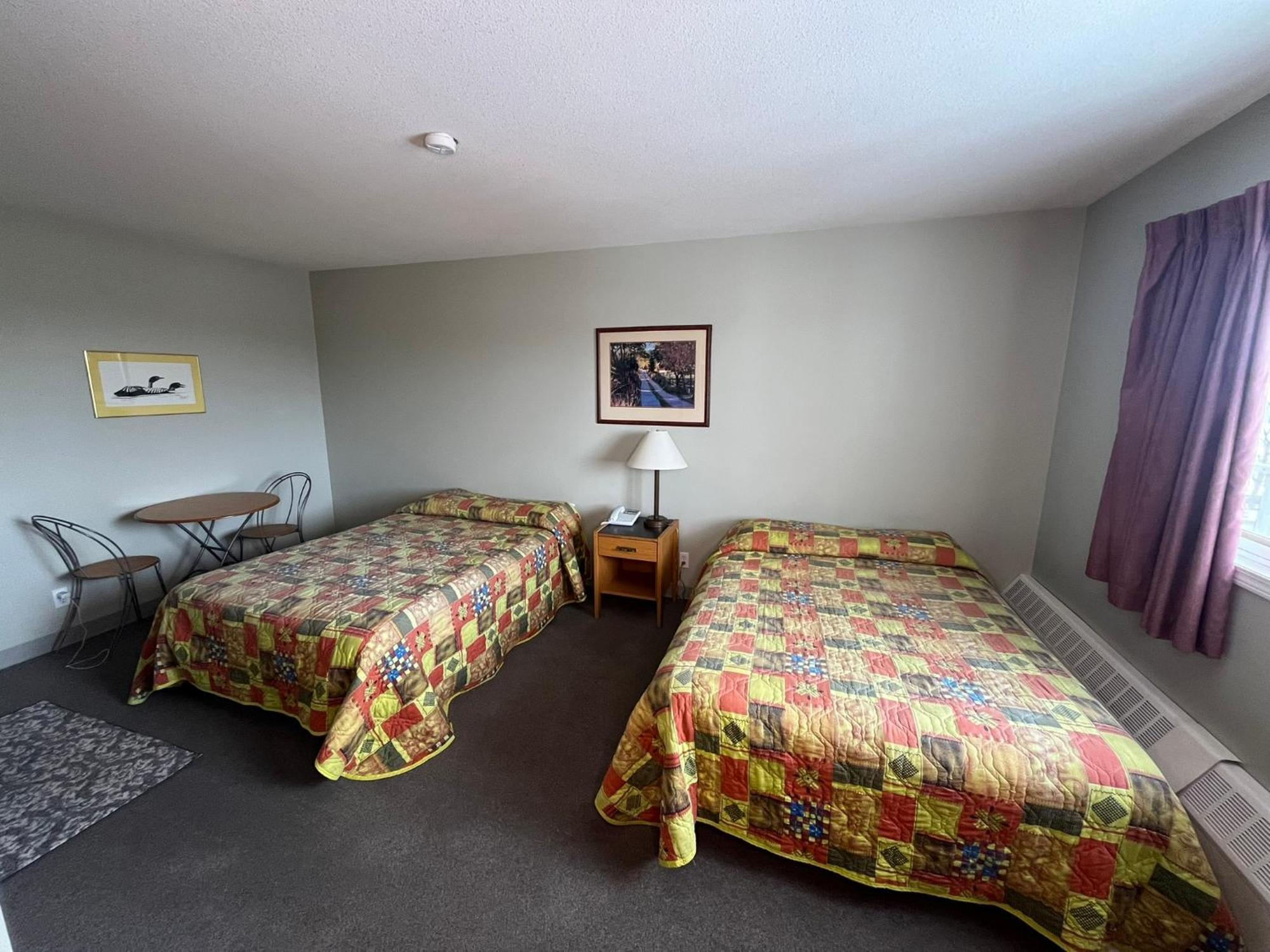 Raccoon Lodge Motel Sylvan Lake Bilik gambar