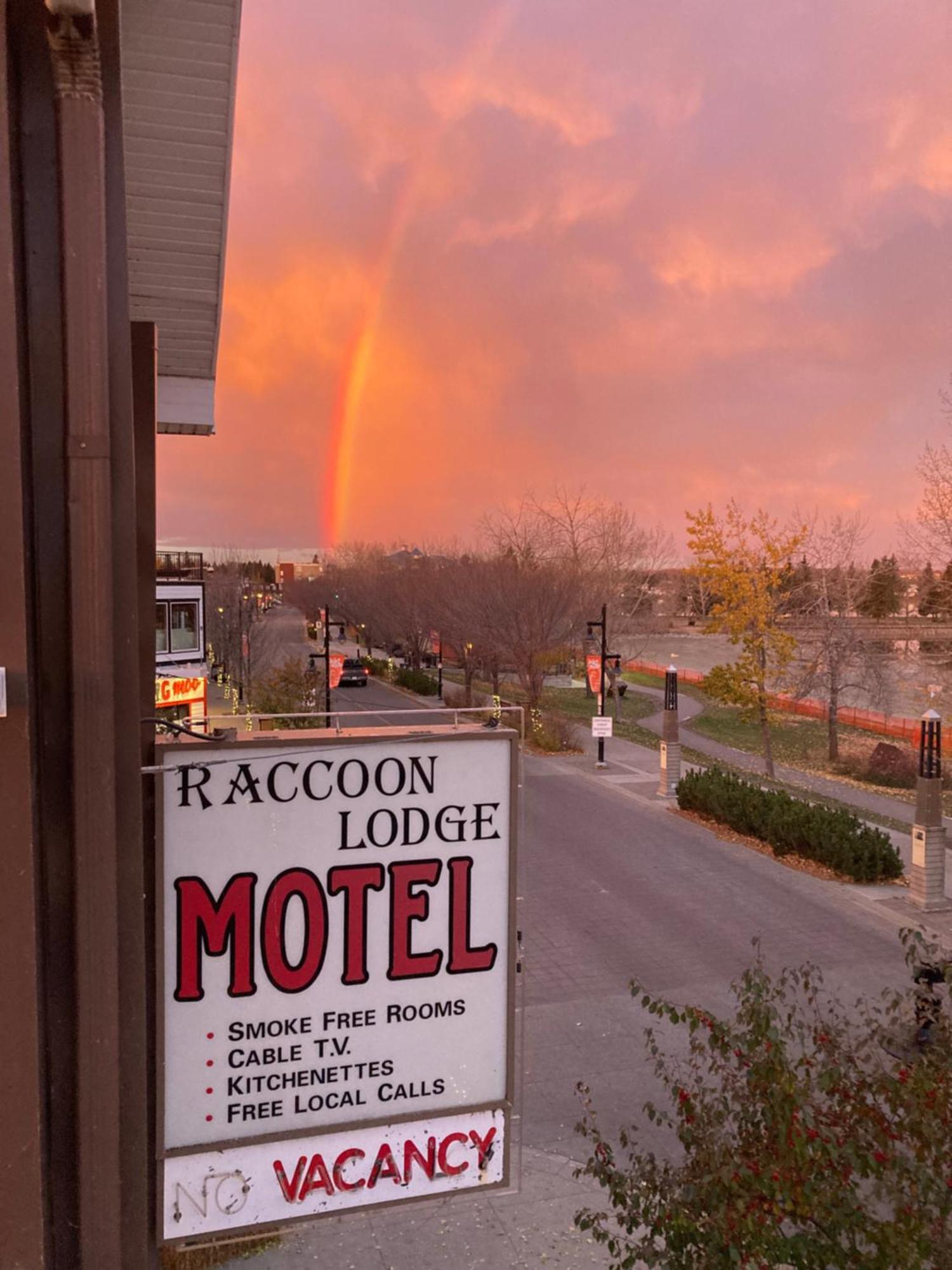 Raccoon Lodge Motel Sylvan Lake Luaran gambar